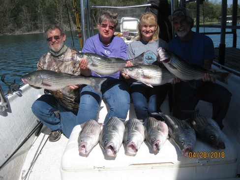 Nice Striped Bass